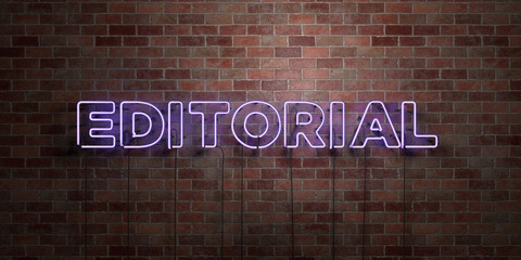 EDITORIAL - fluorescent Neon tube Sign on brickwork - Front view - 3D rendered royalty free stock picture. Can be used for online banner ads and direct mailers..