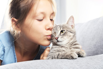 Beautiful grey cat on female hands on sofa