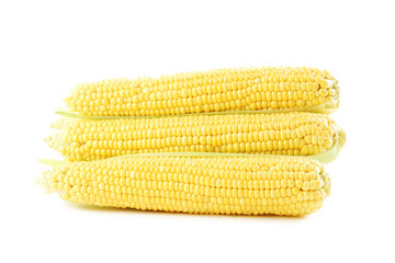 Sweet corns isolated on a white