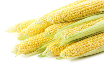 Sweet corns isolated on a white