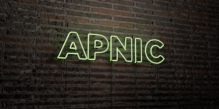 APNIC -Realistic Neon Sign on Brick Wall background - 3D rendered royalty free stock image. Can be used for online banner ads and direct mailers..