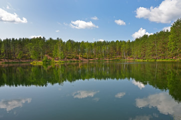 Fototapeta na wymiar Trees on lake
