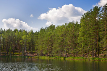 Fototapeta na wymiar Trees on lake