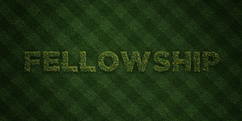 FELLOWSHIP - fresh Grass letters with flowers and dandelions - 3D rendered royalty free stock image. Can be used for online banner ads and direct mailers..