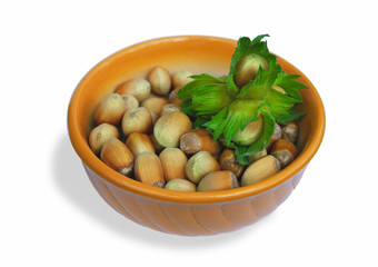 Cup of hazelnuts on a white background