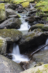 Cascada