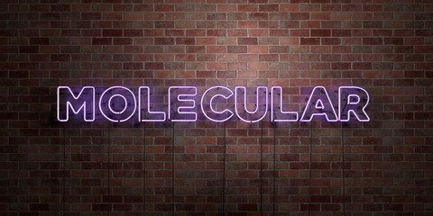 MOLECULAR - fluorescent Neon tube Sign on brickwork - Front view - 3D rendered royalty free stock picture. Can be used for online banner ads and direct mailers..