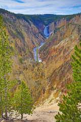 Naklejka premium Yellowstone canyon