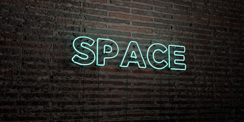 SPACE -Realistic Neon Sign on Brick Wall background - 3D rendered royalty free stock image. Can be used for online banner ads and direct mailers..