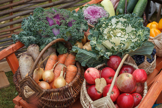 Various vegetables and fruits are in the cart. The harvest of fruits and vegetables. Bright and colorful picture of apples, cabbage, carrots, onions, peppers.