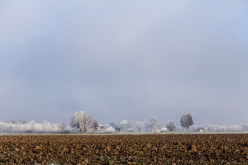 Paesaggio invernale con alberi congelati