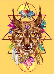 Illustration with lynx.