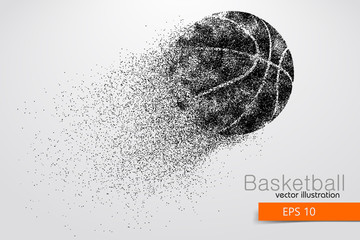 Obraz premium Silhouette of a basketball ball from particles.
