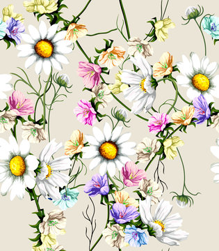 Watercolor poppy, cornflower, daisy wild flowers background