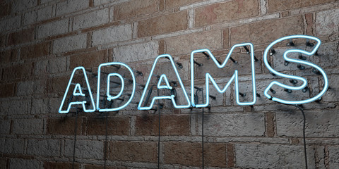 ADAMS - Glowing Neon Sign on stonework wall - 3D rendered royalty free stock illustration.  Can be used for online banner ads and direct mailers..