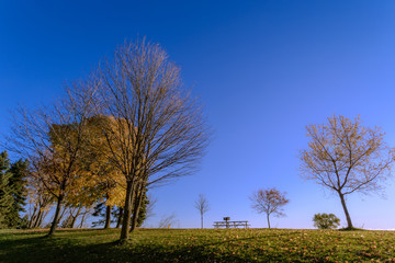 View of Scarborough Park at the end of fall season