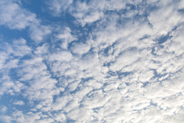 Blue Sky - Fluffy Clouds