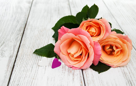 Pink rose on a wooden background