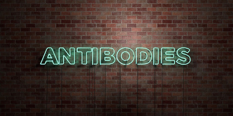 ANTIBODIES - fluorescent Neon tube Sign on brickwork - Front view - 3D rendered royalty free stock picture. Can be used for online banner ads and direct mailers..