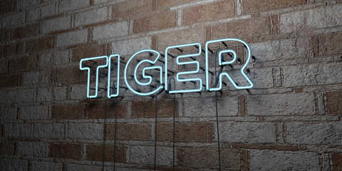 TIGER - Glowing Neon Sign on stonework wall - 3D rendered royalty free stock illustration.  Can be used for online banner ads and direct mailers..