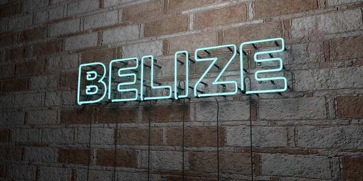 BELIZE - Glowing Neon Sign on stonework wall - 3D rendered royalty free stock illustration.  Can be used for online banner ads and direct mailers..