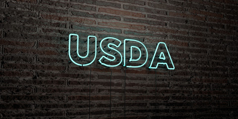USDA -Realistic Neon Sign on Brick Wall background - 3D rendered royalty free stock image. Can be used for online banner ads and direct mailers..