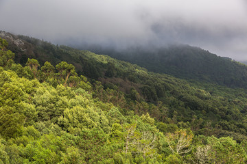 Fototapeta premium Autumn landscape. Highest viewpoint of Sintra region, Santuario da Peninha, Portugal.