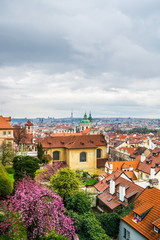 Fototapeta na wymiar Prague roof tops and blooming trees