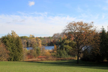 Fall landscape