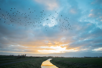 peaceful landscape with birds