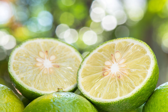 Closeup lime slice with green nature blur background