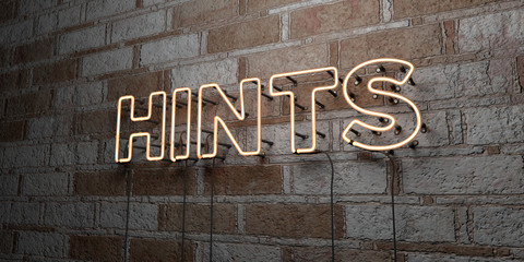 HINTS - Glowing Neon Sign on stonework wall - 3D rendered royalty free stock illustration.  Can be used for online banner ads and direct mailers..