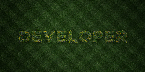 DEVELOPER - fresh Grass letters with flowers and dandelions - 3D rendered royalty free stock image. Can be used for online banner ads and direct mailers..