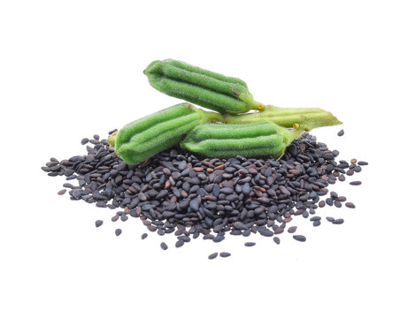 Black Sesame Seeds isolated on white background.