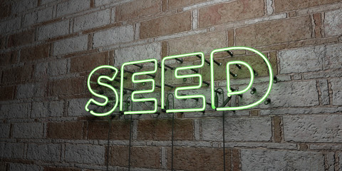 SEED - Glowing Neon Sign on stonework wall - 3D rendered royalty free stock illustration.  Can be used for online banner ads and direct mailers..