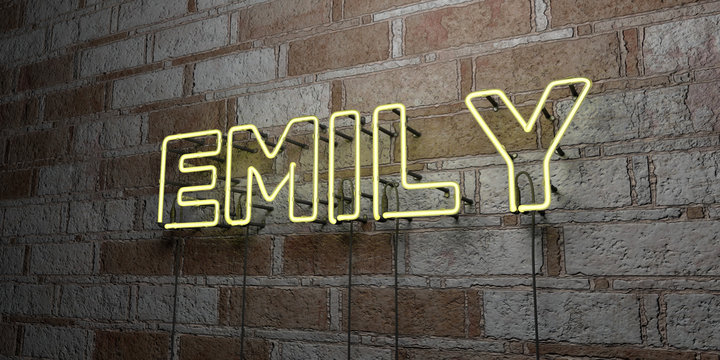 EMILY - Glowing Neon Sign on stonework wall - 3D rendered royalty free stock illustration.  Can be used for online banner ads and direct mailers..