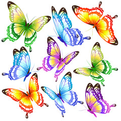 Fototapeta premium color butterflies,isolated on a white