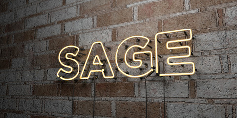 SAGE - Glowing Neon Sign on stonework wall - 3D rendered royalty free stock illustration.  Can be used for online banner ads and direct mailers..