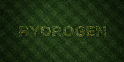 HYDROGEN - fresh Grass letters with flowers and dandelions - 3D rendered royalty free stock image. Can be used for online banner ads and direct mailers..