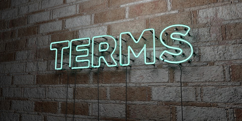 TERMS - Glowing Neon Sign on stonework wall - 3D rendered royalty free stock illustration.  Can be used for online banner ads and direct mailers..