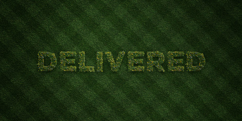 DELIVERED - fresh Grass letters with flowers and dandelions - 3D rendered royalty free stock image. Can be used for online banner ads and direct mailers..