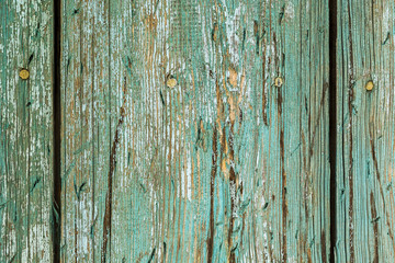 Fototapeta na wymiar green painted old planks texture