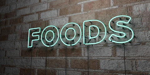 FOODS - Glowing Neon Sign on stonework wall - 3D rendered royalty free stock illustration.  Can be used for online banner ads and direct mailers..