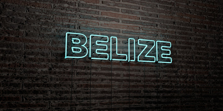 BELIZE -Realistic Neon Sign on Brick Wall background - 3D rendered royalty free stock image. Can be used for online banner ads and direct mailers..