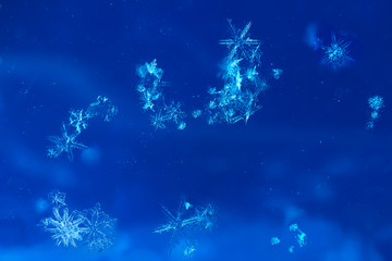Fototapeta na wymiar Snowflakes on blue background.