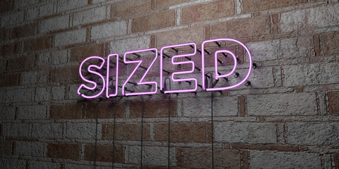SIZED - Glowing Neon Sign on stonework wall - 3D rendered royalty free stock illustration.  Can be used for online banner ads and direct mailers..