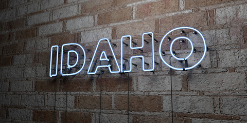 IDAHO - Glowing Neon Sign on stonework wall - 3D rendered royalty free stock illustration.  Can be used for online banner ads and direct mailers..