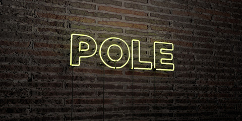 POLE -Realistic Neon Sign on Brick Wall background - 3D rendered royalty free stock image. Can be used for online banner ads and direct mailers..