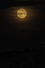 Fototapeta na wymiar Full moon thin clouds