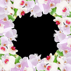 Beautiful floral frame of white and purple orchids 